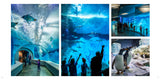 The Art of Collaboration & Innovation: Albert Kahn Associates